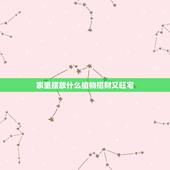 家里摆放什么植物招财又旺宅，有哪些植物养在家里招财又旺宅，还能美化家居