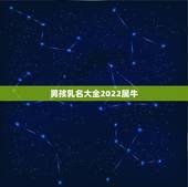 男孩乳名大全2022属牛，属牛的男孩子取小名