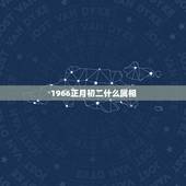 1966正月初二什么属相，1966年正月初二未立春算蛇还是算马？