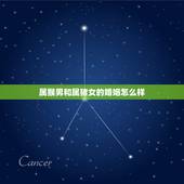 属猴男和属猪女的婚姻怎么样，男属猪和女属猴的婚姻会怎么样？