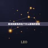 属龙和属兔的生个什么属相的宝宝，属兔的生什么宝宝好