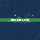 属龙的佩戴什么属相好，属龙的带什么生肖好了