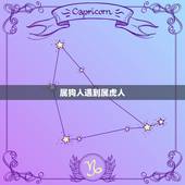属狗人遇到属虎人，属狗的人和属虎的人在哪一年离婚