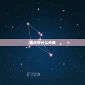 属虎带什么天珠，十二生肖适合戴什么天珠