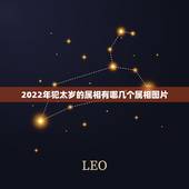 2022年犯太岁的属相有哪几个属相图片，2021年犯太岁的五大属相 怎