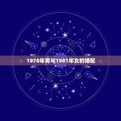 1978年男与1981年女的婚配，男1969年正月初八已时八子合婚女1