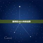 属鸡在2022年的运势，1969年2021年属鸡人的全年运势
