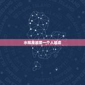 水瓶座越爱一个人越虐，水瓶座喜欢一个人的表现？