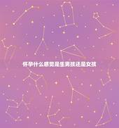 怀孕什么感觉是生男孩还是女孩，怀男孩有什么特征和感觉