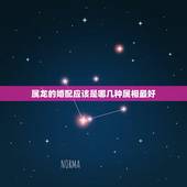 属龙的婚配应该是哪几种属相最好，属龙的男生和哪几个属相婚姻是最好的？