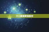 十二属相更佳配对，最准的12生肖配对表