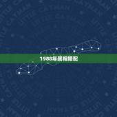 1988年属相婚配，1988年婚配什么最适合