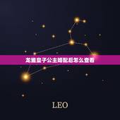 龙雏皇子公主婚配后怎么查看，龙雏竹公主怎么攻略啊？