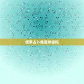 塔罗占卜他喜欢你吗，塔罗占卜：暗恋对象喜欢我吗？