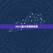 2022最火伤感网名男，2021最火伤感网名