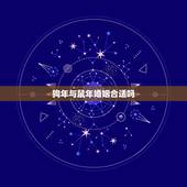 狗年与鼠年婚姻合适吗，男属狗和女属鼠相配婚姻如何