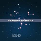 婚姻属相配对大全很准老虎和鸡，属鸡的和属虎的属相婚姻合吗