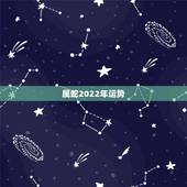 属蛇2022年运势，2022年运势最好的生肖