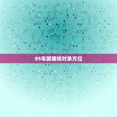 95年属猪找对象方位，95年属猪财运方向贵人方向