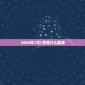 2000年1月3号是什么属相，2000年1月3日属兔今年多大