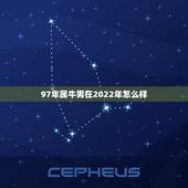 97年属牛男在2022年怎么样，1997年生属牛男2022年运势