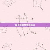 双子座感情性格特点，双子座男的性格感情分析！