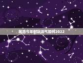 属鸡今年财运运气如何2022，一生财运旺的五大生肖