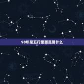 98年是五行里面是属什么，1998年出生五行属什么？