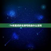 74年属虎的车牌号码选什么吉利，爱出车祸的车牌数字