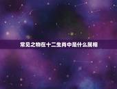 常见之物在十二生肖中是什么属相，在十二生肖中的非常之物是什么