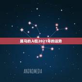 属马的人在2021年的运势，2021年属马的运势和财运