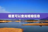 哪里可以查询婚姻信息，哪里可以查到个人婚姻信息