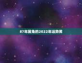87年属兔的2022年运势男，1987年的属兔男人是什么命运