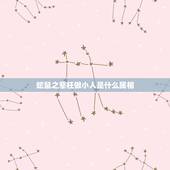 蛇鼠之辈枉做小人是什么属相，属鼠的和什么属相不能共事