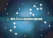 属牛人2022年运势及运程详解，2022年属牛人的全年运势男性
