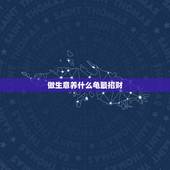 做生意养什么龟最招财，养什么龟主财