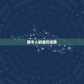 属牛人的逐月运势，1973年6月11日出生属牛的人2015年运程每月