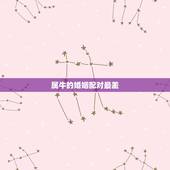 属牛的婚姻配对最差，85年属牛的和什么属相最配