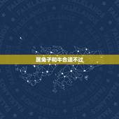 属兔子和牛合适不过，牛和兔子配吗