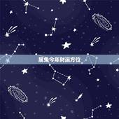 属兔今年财运方位，我属兔今年财运不知怎