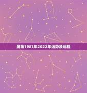 属兔1987年2022年运势及运程，1987年出生的人在2021年有怎