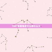 1987年属兔是什么命什么火，1987年属兔是什么命老是想发火