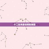 十二生肖最佳婚配表图，很准的 属相婚配表，没有