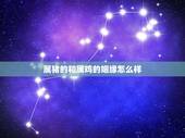 属猪的和属鸡的姻缘怎么样，属虎和属鸡的婚姻怎么样