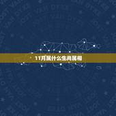 11月属什么生肖属相，91年11月的属什么生肖 什么星座？