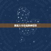 属鼠人今日运势神巴巴，2022年生肖鼠运势大全