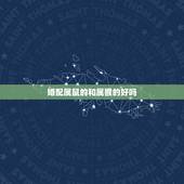 婚配属鼠的和属猴的好吗，属猴和属鼠的人结婚怎么样