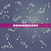 属兔的和兔属相合得来吗，属兔的和什么属相和