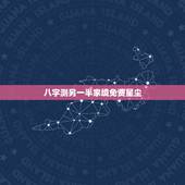 八字测另一半家境免费星尘，八字看正缘年薪？女，2007.02.04 1