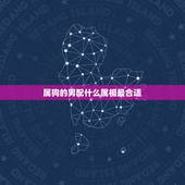 属狗的男配什么属相最合适，十二生肖中，属猪的和什么属相最配？